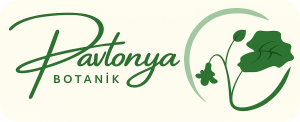 Pavlonya Botanik